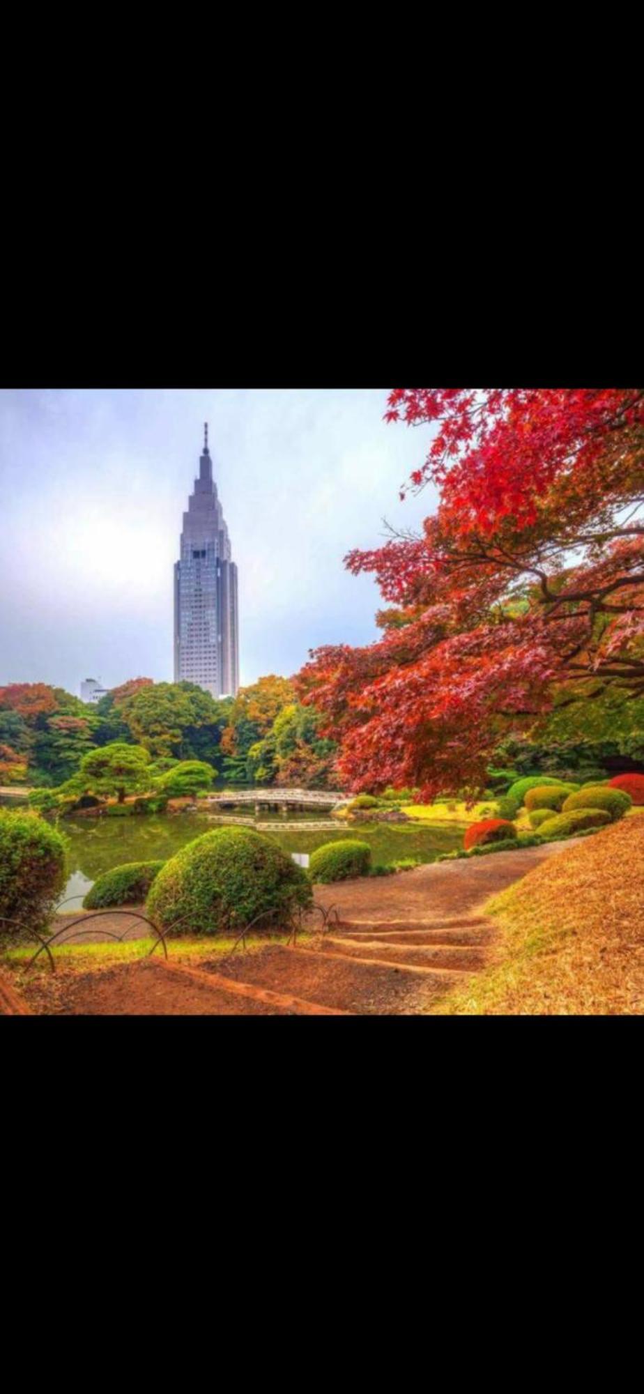 טוקיו 新宿庭院の屋-Shinjuku Garden Home -28 Square Meters King Size Bed Garden Room מראה חיצוני תמונה