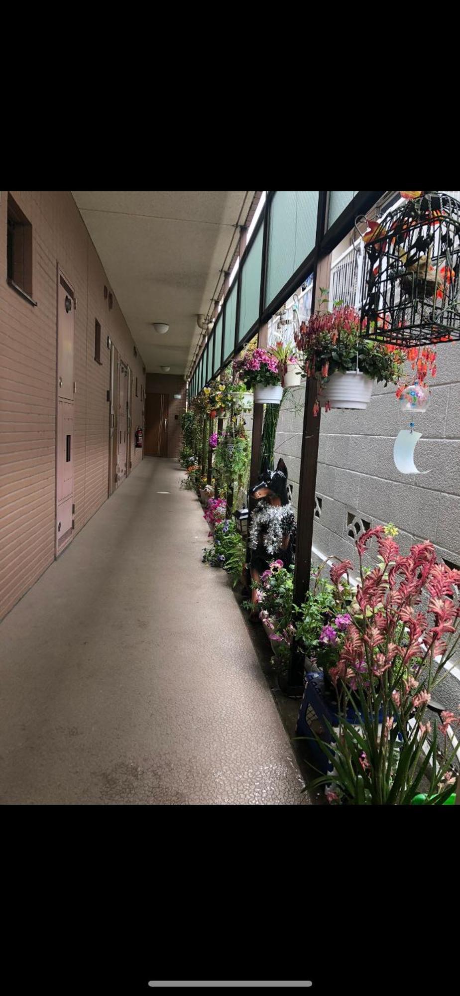 טוקיו 新宿庭院の屋-Shinjuku Garden Home -28 Square Meters King Size Bed Garden Room מראה חיצוני תמונה